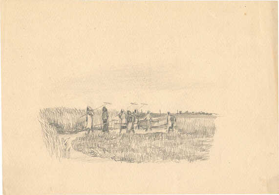 Кострова Анна Александровна. Жатва